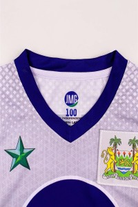 Custom Men's V-neck Sublimation Polo Shirt Design Geometric Blue V-Neck Collar Color Dye Sublimation Garment Factory Short Sleeve Sublimation Polo Shirt Supplier USA Retail P1466 side view
